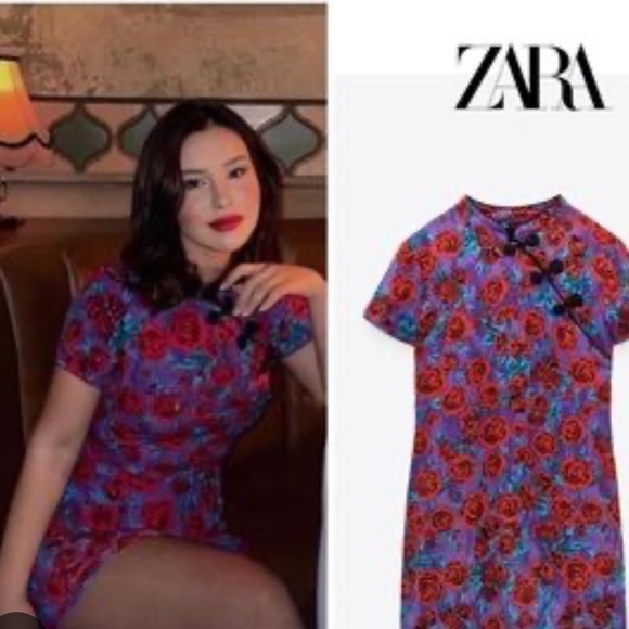 NWT Zara Frog Button Dress - Picture 5 of 11